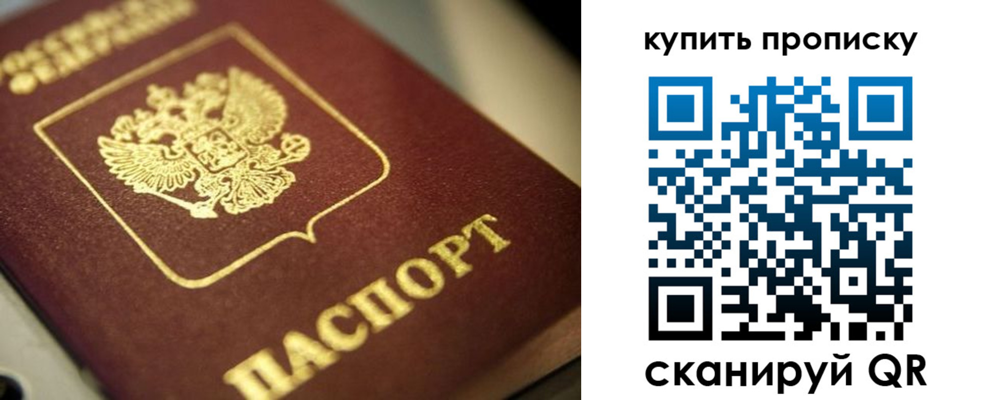 прописка поиск в Электрогорске
