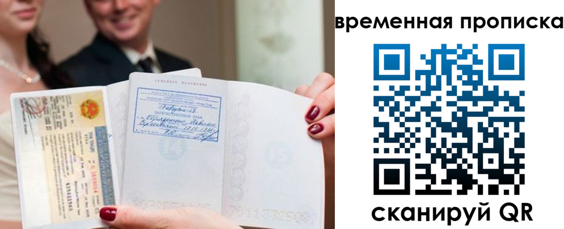 прописка поиск в Электрогорске